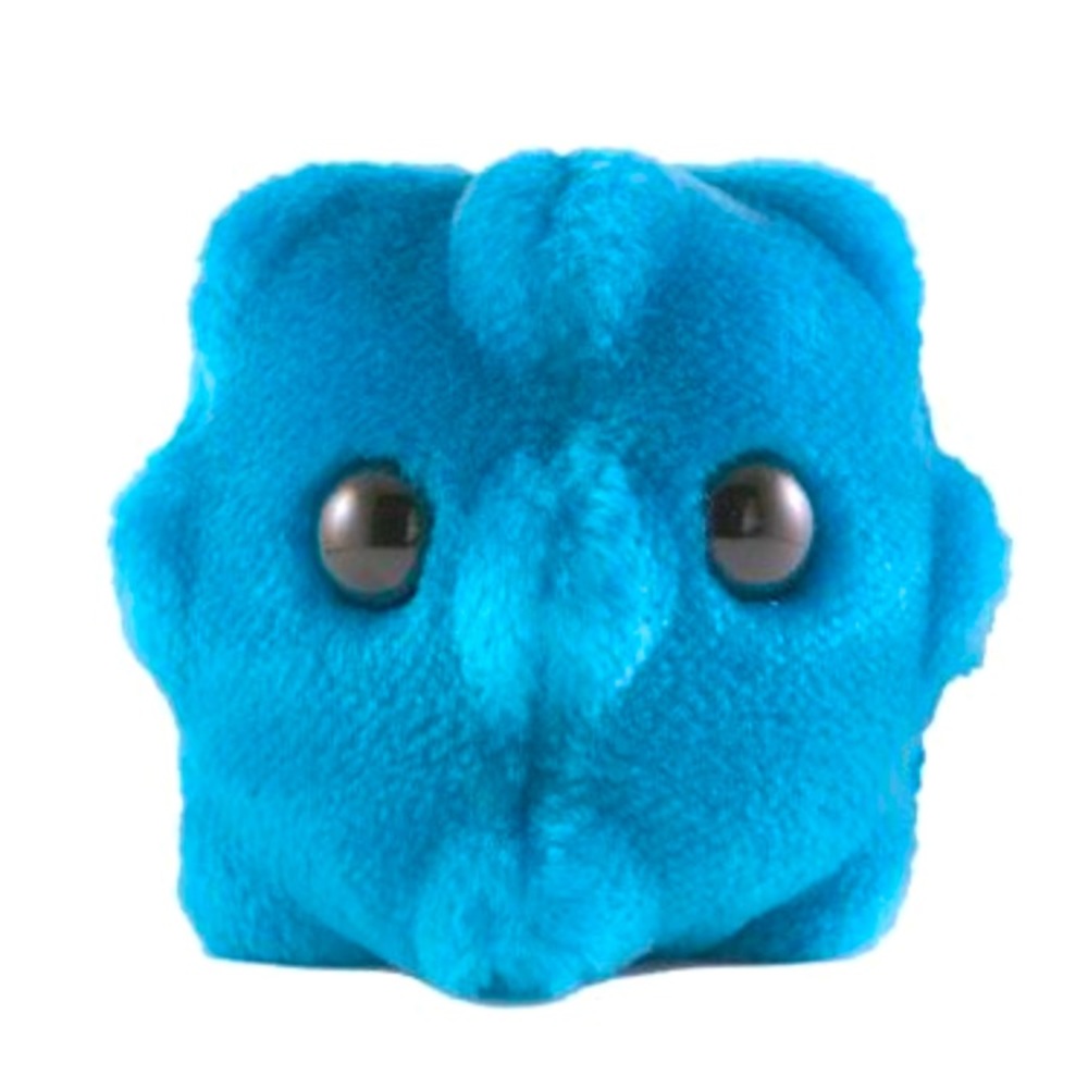 Meet your Posher, Gen